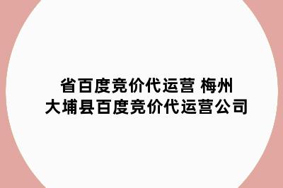 省百度竞价代运营 梅州大埔县百度竞价代运营公司